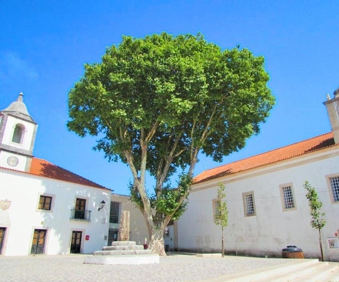 Duarte Houses - Casa T1 - Com Vista Mar Ναζαρέ Εξωτερικό φωτογραφία